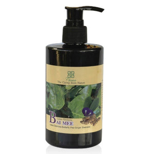 Litsea Glutinosa Butterfly Pea and Ginger Shampoo Large 300 g.
