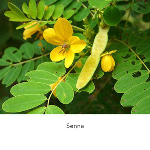 Senna Extract (410 mg.) 100 Capsules