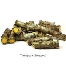 Load image into Gallery viewer, Tinospora Borped Extract (320 mg.) 100 Capsules
